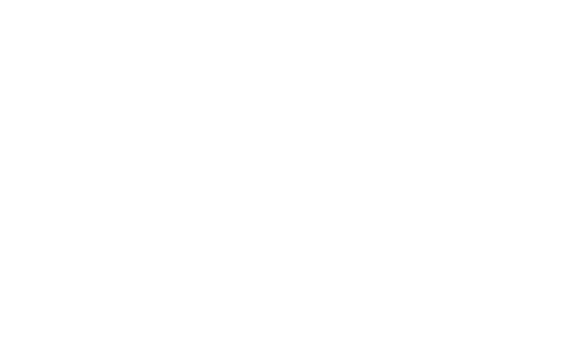 REDSA logo blanco